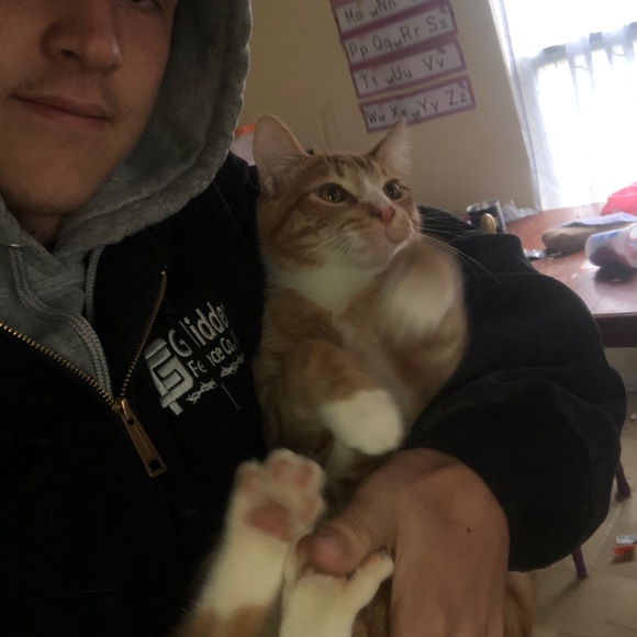 Meet your Posher, Jacob - Picture 1 of 1